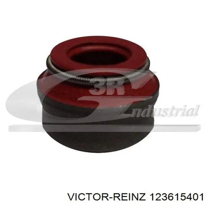 123615401 Victor Reinz сальник клапана (маслознімний, впуск/випуск, комплект на мотор)