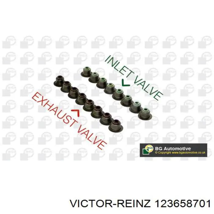 123658701 Victor Reinz сальник клапана (маслознімний, впуск/випуск, комплект на мотор)