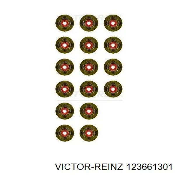 123661301 Victor Reinz сальник клапана (маслознімний, впуск/випуск, комплект на мотор)