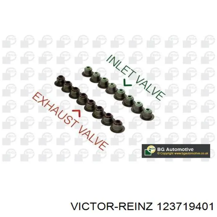 123719401 Victor Reinz сальник клапана (маслознімний, впуск/випуск, комплект на мотор)