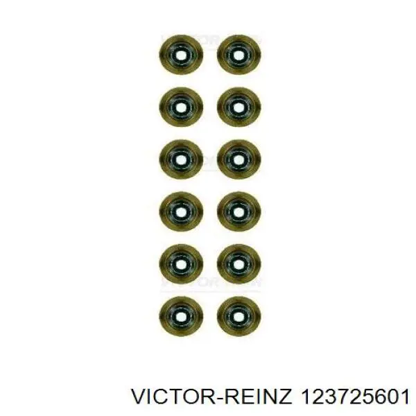 Купити 123725601 Victor Reinz Сальник клапана (маслознімний), випускного, комплект