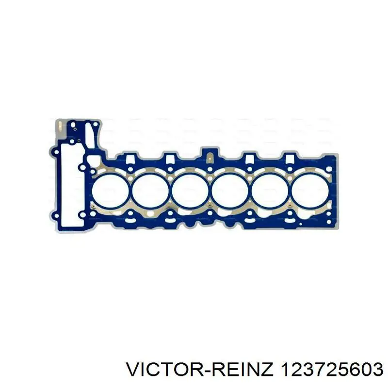 123725603 Victor Reinz сальник клапана (маслознімний, випускного, комплект)