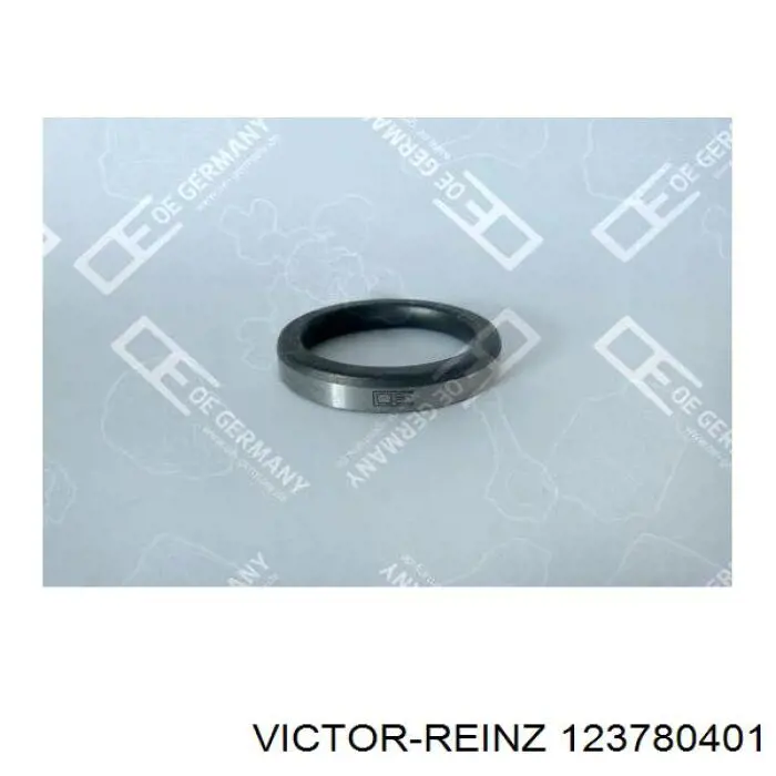 Сальник клапана (маслознімний), впуск/випуск, комплект на мотор Victor Reinz 123780401 ціна, від 1.13 USD