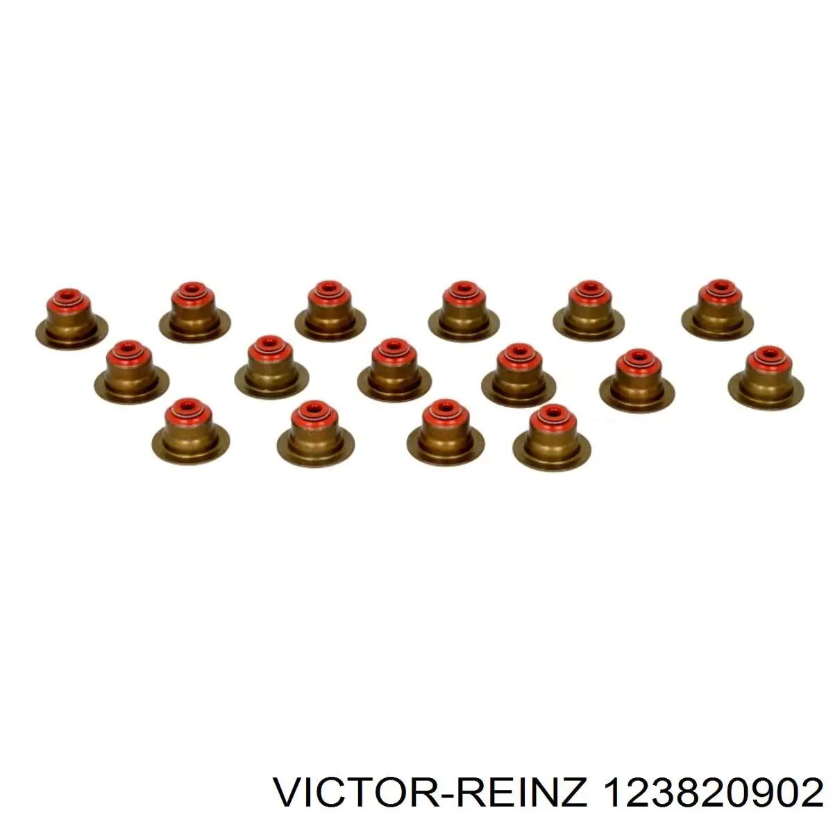123820902 Victor Reinz сальник клапана (маслознімний, впуск/випуск, комплект на мотор)
