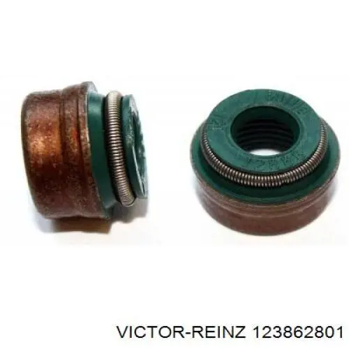123862801 Victor Reinz сальник клапана (маслознімний, впуск/випуск, комплект на мотор)