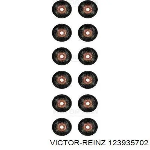 Купити 123935702 Victor Reinz Сальник клапана (маслознімний), впуск/випуск, комплект на мотор