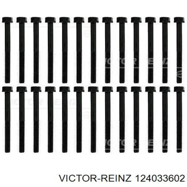 124033602 Victor Reinz 