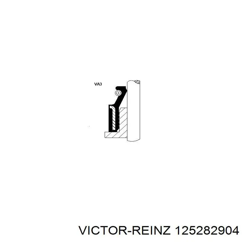 125282904 Victor Reinz сальник клапана (маслознімний, впуск/випуск, комплект на мотор)
