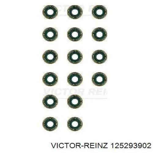125293902 Victor Reinz Ковпачок маслоз'йомного