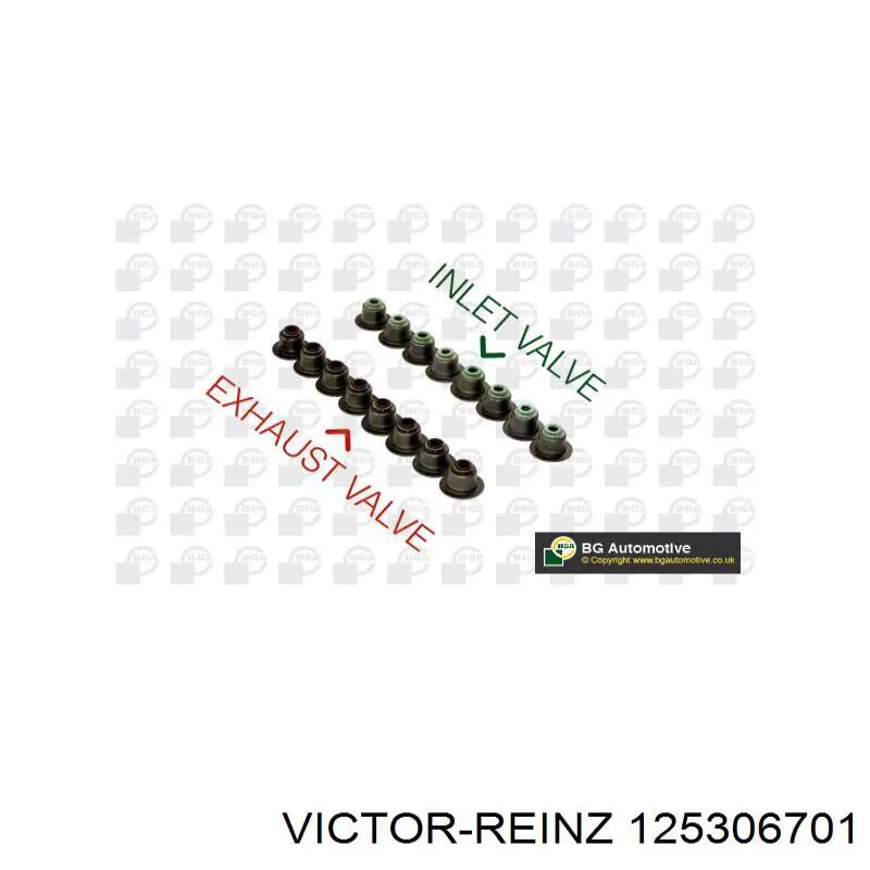 125306701 Victor Reinz сальник клапана (маслознімний, впуск/випуск, комплект на мотор)