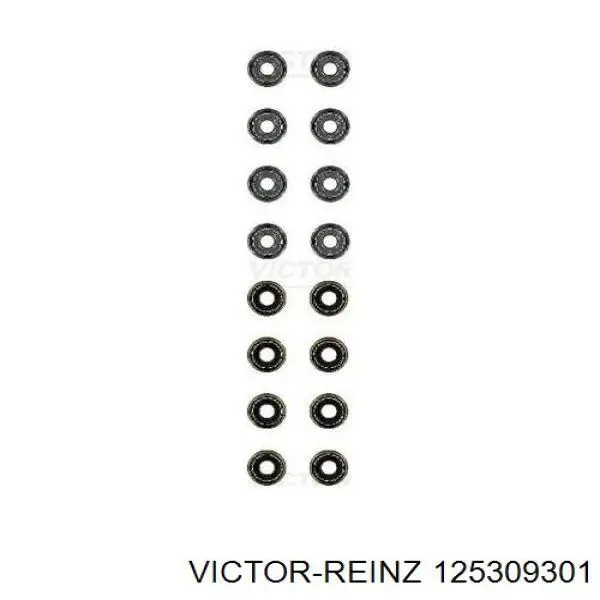 125309301 Victor Reinz сальник клапана (маслознімний, впуск/випуск, комплект на мотор)