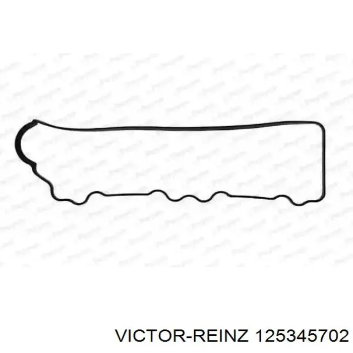 125345702 Victor Reinz сальник клапана (маслознімний, впуск/випуск, комплект на мотор)