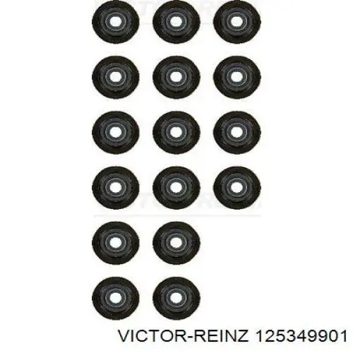 Купити 125349901 Victor Reinz Сальник клапана (маслознімний), впуск/випуск, комплект на мотор