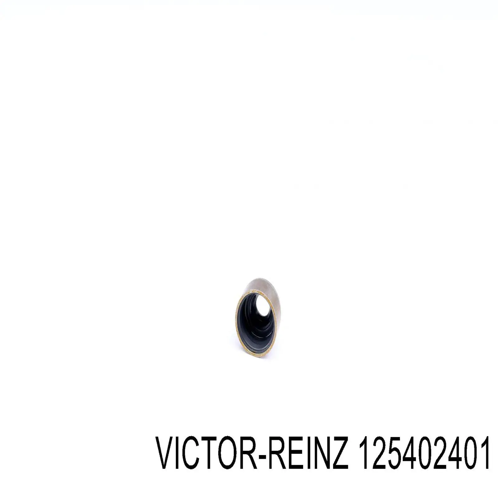 Купити 125402401 Victor Reinz Сальник клапана (маслознімний), впуск/випуск, комплект на мотор