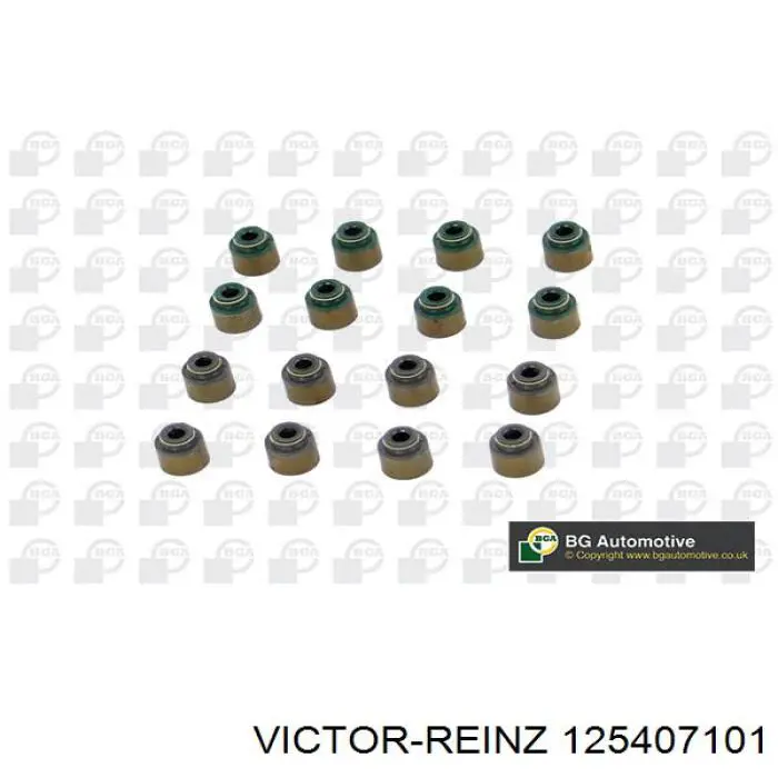 125407101 Victor Reinz сальник клапана (маслознімний, впуск/випуск, комплект на мотор)