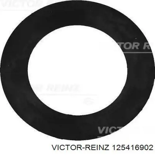 125416902 Victor Reinz сальник клапана (маслознімний, впуск/випуск, комплект на мотор)
