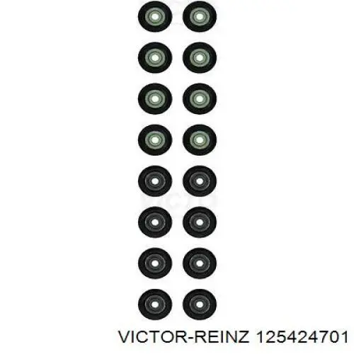 125424701 Victor Reinz сальник клапана (маслознімний, впуск/випуск, комплект на мотор)