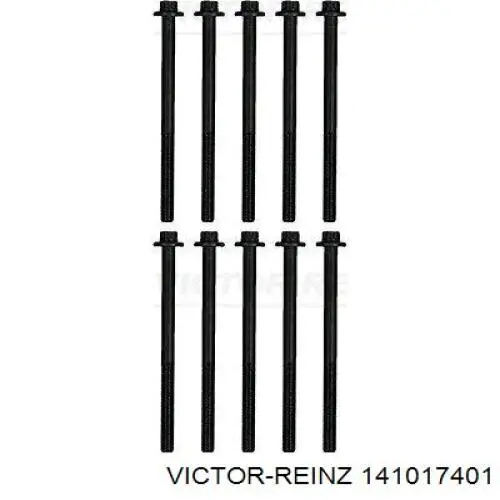 Купити 141017401 Victor Reinz Болт гбц