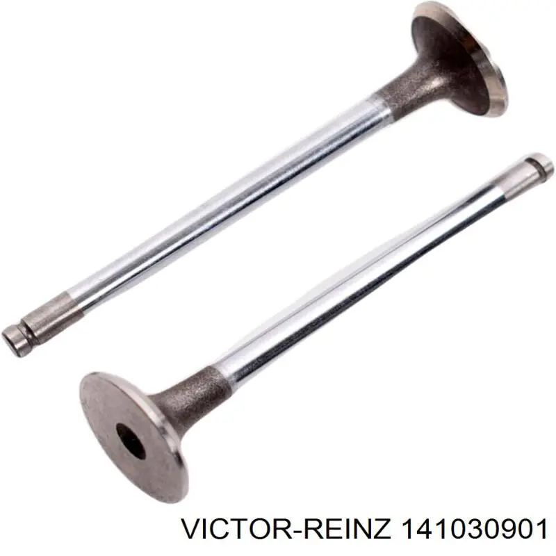 Купити 141030901 Victor Reinz Болт гбц