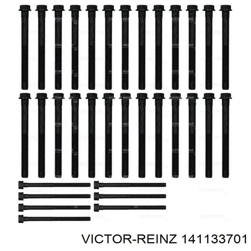 141133701 Victor Reinz Болт кріплення головки блоку циліндрів