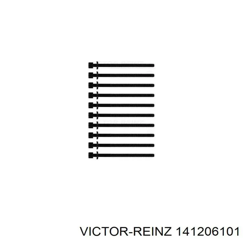 Болт головки блока циліндрів, ГБЦ 141206101 Victor Reinz