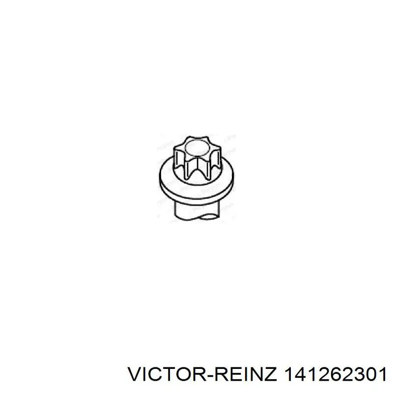 141262301 Victor Reinz болт головки блока циліндрів, гбц