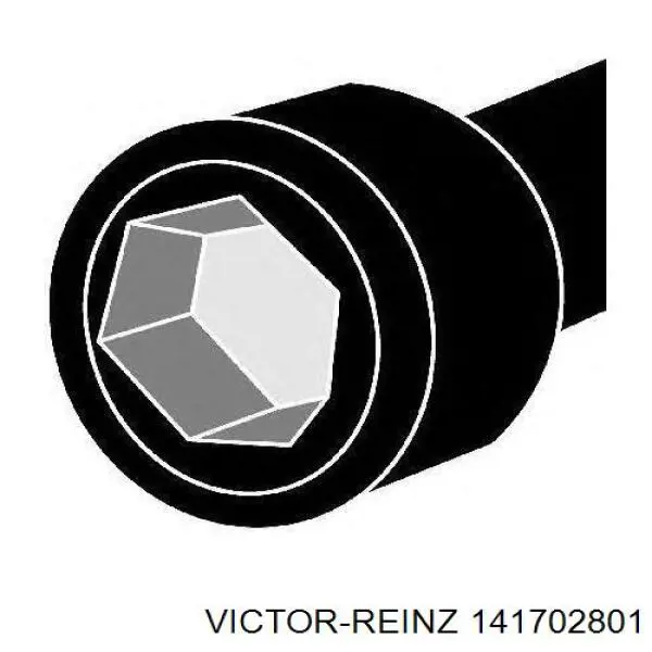 141702801 Victor Reinz Болт кріплення головки блоку циліндрів