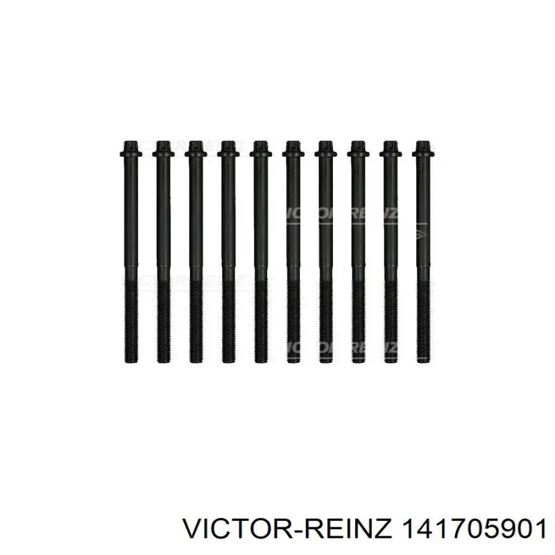 Купити 141705901 Victor Reinz Болт гбц