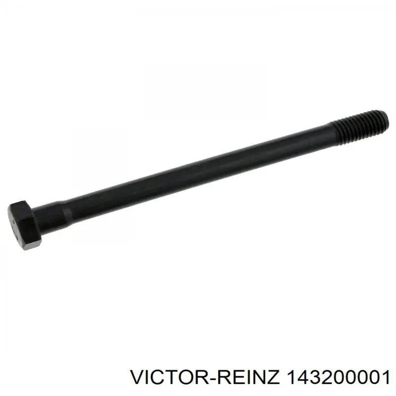 Купити 143200001 Victor Reinz Болт гбц