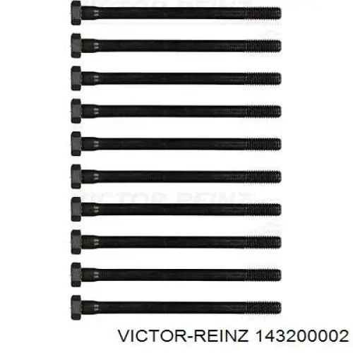 143200002 Victor Reinz болт головки блока циліндрів, гбц