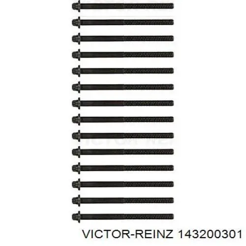 143200301 Victor Reinz Болт кріплення головки блоку циліндрів