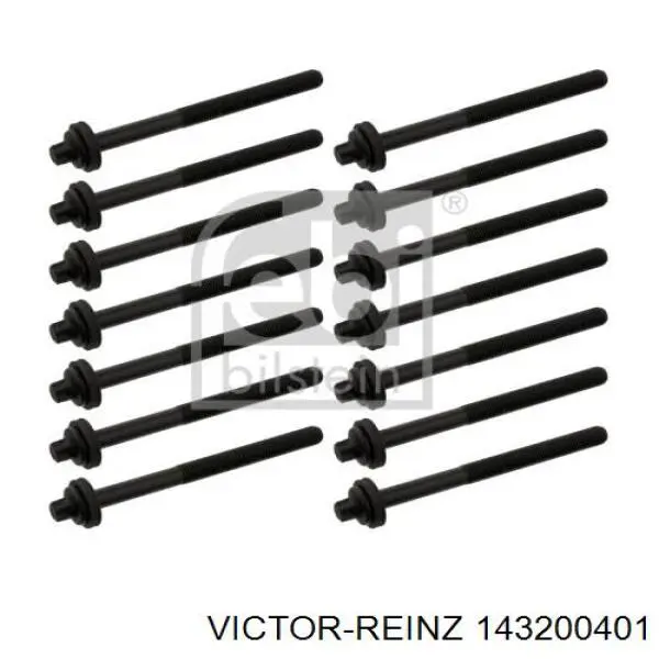 Купити 143200401 Victor Reinz Болт гбц