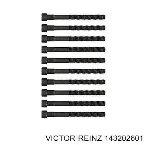Купити 143202601 Victor Reinz Болт гбц