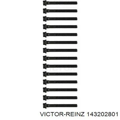 Болт головки блока циліндрів, ГБЦ Victor Reinz 143202801 ціна, від 25.41 USD