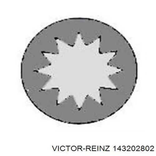 Болт головки блока циліндрів, ГБЦ Victor Reinz 143202802 ціна, від 15.75 USD