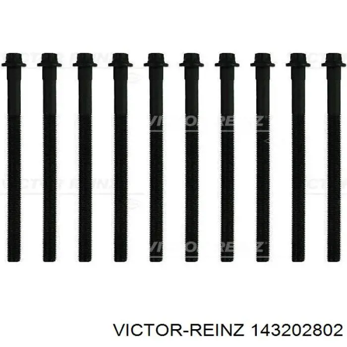 Купити 143202802 Victor Reinz Болт гбц