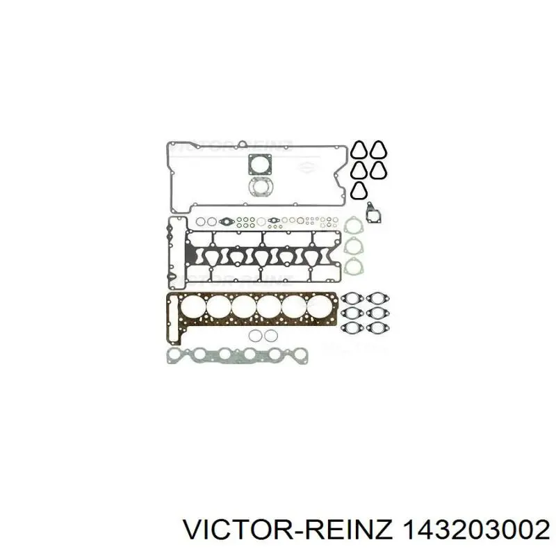 143203002 Victor Reinz болт головки блока циліндрів, гбц