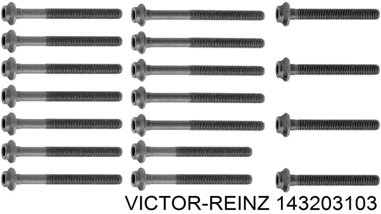 Купити 143203103 Victor Reinz Болт гбц