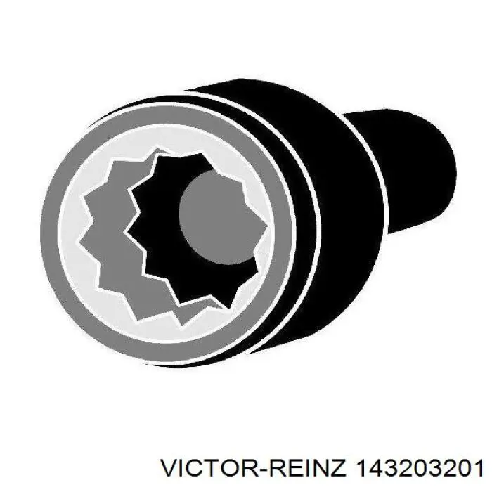 Купити 143203201 Victor Reinz Болт гбц