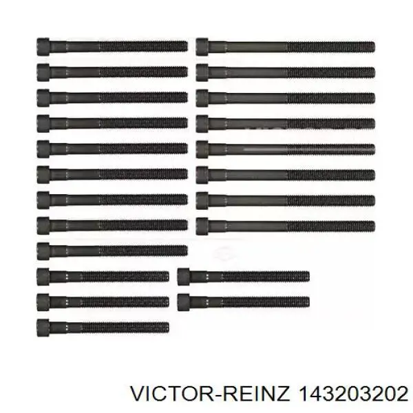 Купити 143203202 Victor Reinz Болт гбц