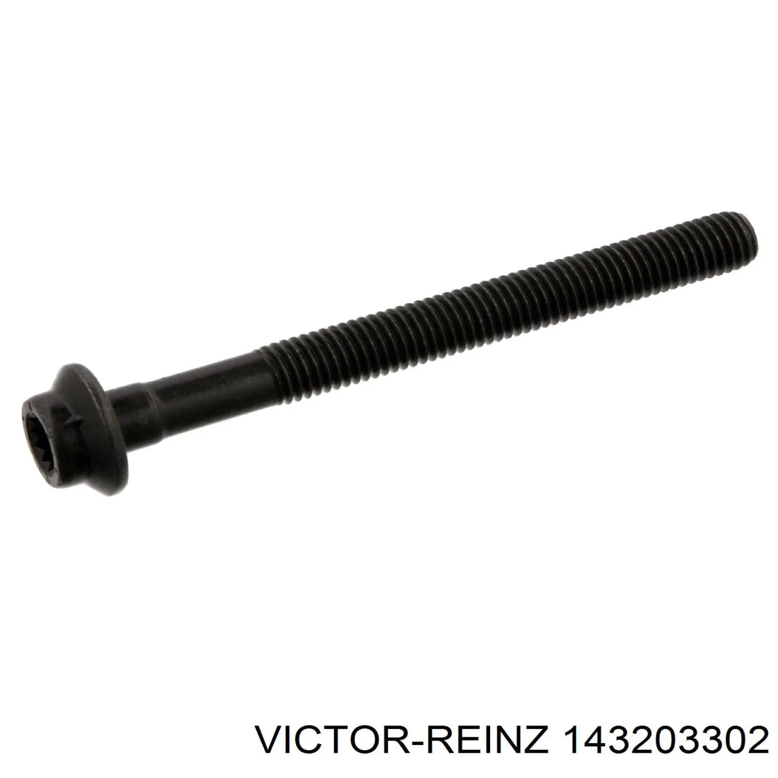 Купити 143203302 Victor Reinz Болт гбц