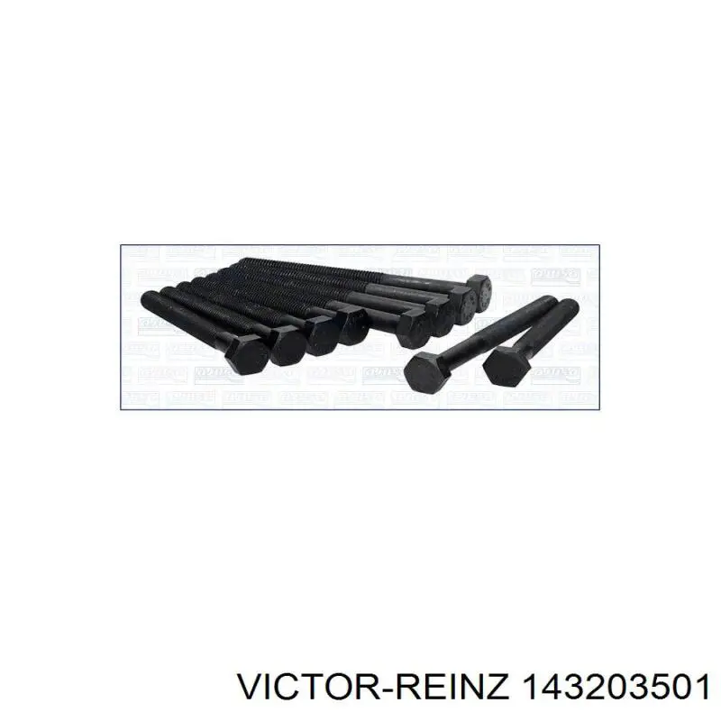 Болт головки блока циліндрів, ГБЦ Victor Reinz 143203501 ціна, від 24.49 USD
