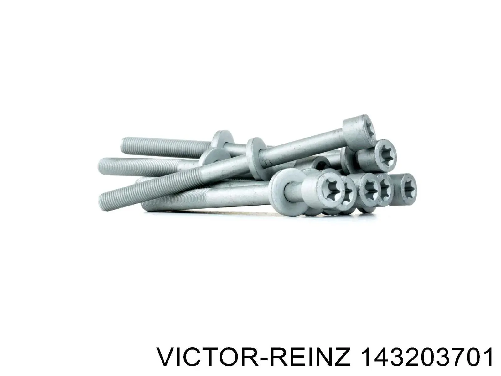 Купити 143203701 Victor Reinz Болт гбц