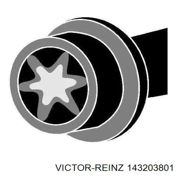 143203801 Victor Reinz болт головки блока циліндрів, гбц