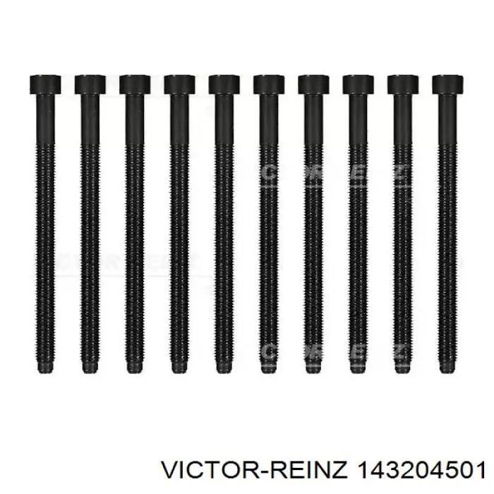 Купити 143204501 Victor Reinz Болт гбц