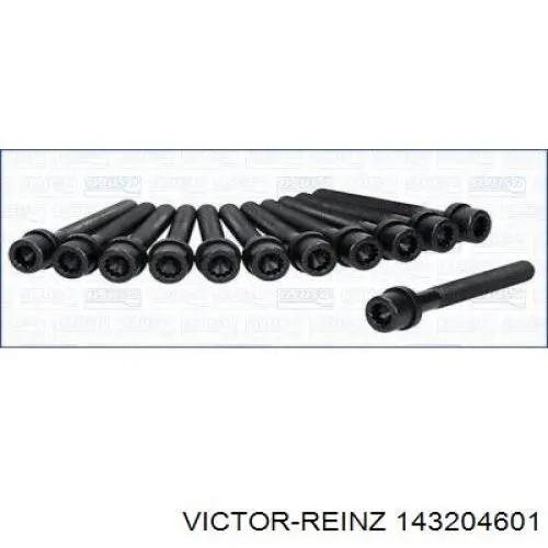 Болт ГБЦ 143204601 Victor Reinz