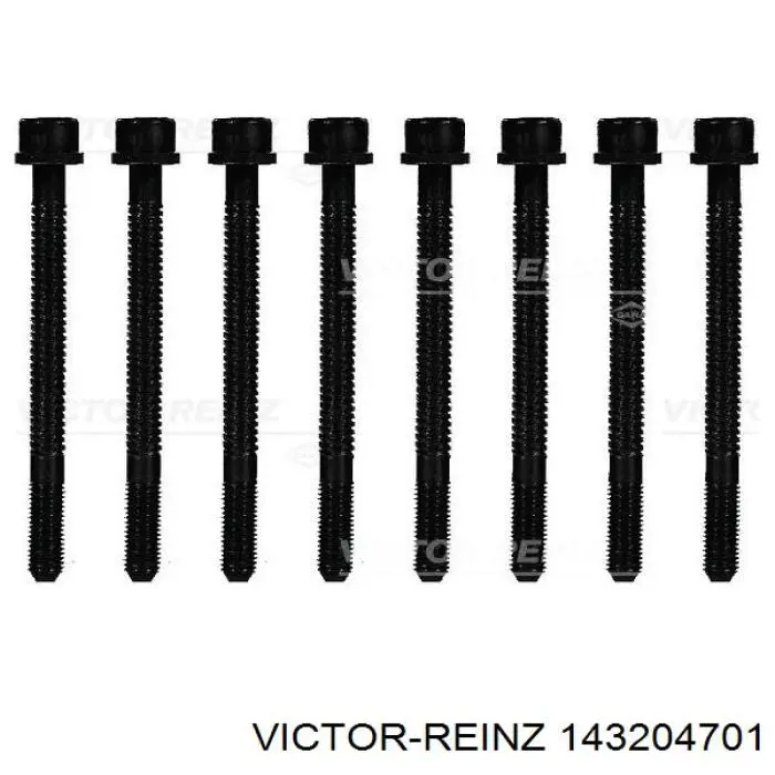 Болт головки блока циліндрів Victor Reinz 143204701