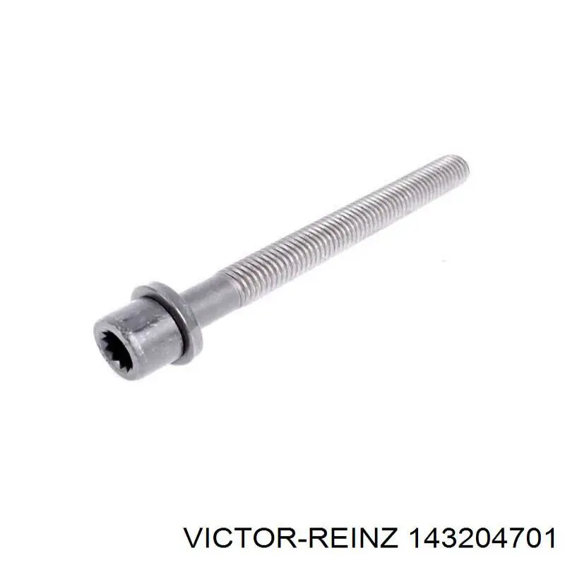Купити 143204701 Victor Reinz Болт гбц