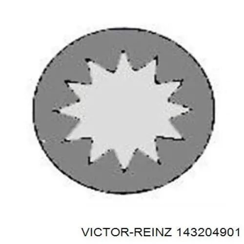 Купити 143204901 Victor Reinz Болт гбц
