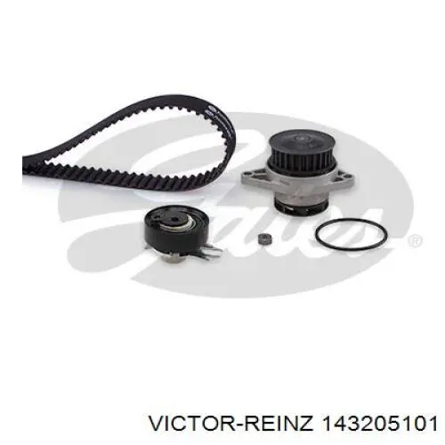 Купити 143205101 Victor Reinz Болт гбц